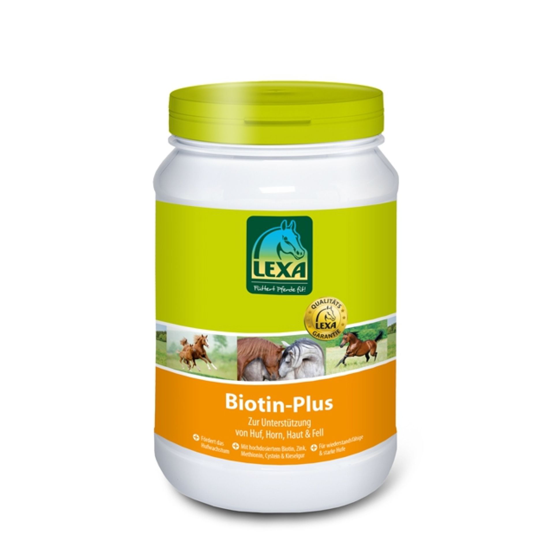 Lexa Biotin-Plus, 1 kg